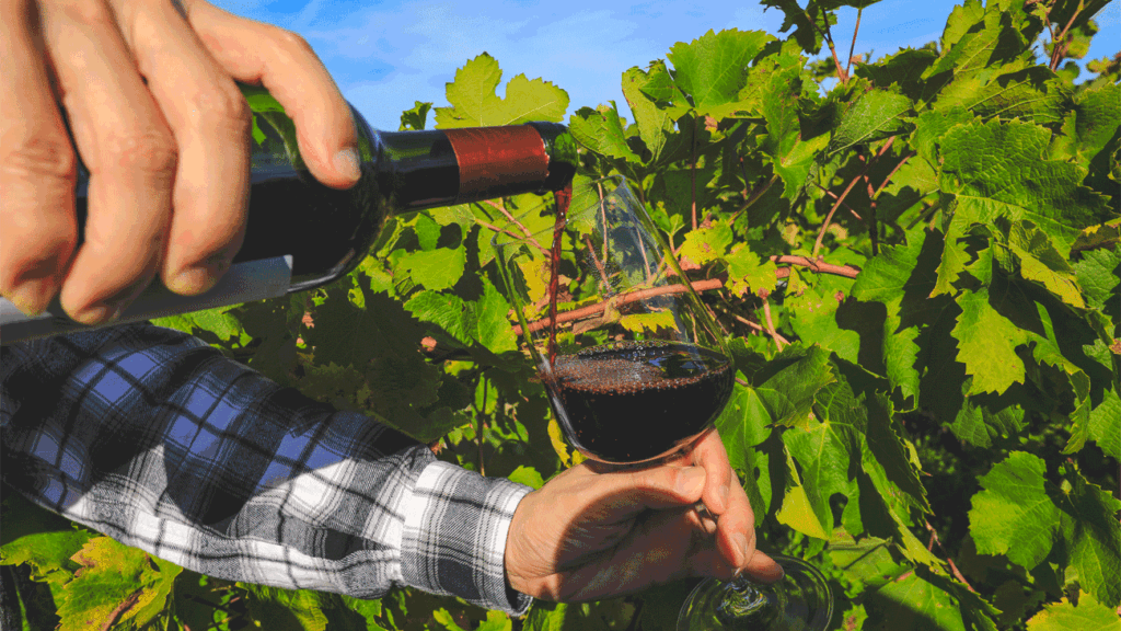 organic wine club